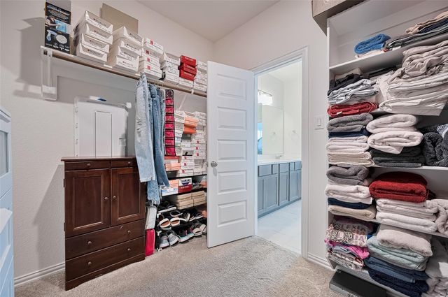 19738 Chianti Point Drive, Hockley, TX 77447