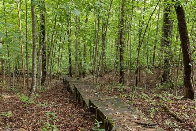 267 Pointe Willow Dr Drive, Cleveland, GA 30528