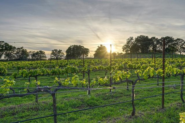 7505 Wise Rd, Auburn, CA 95603