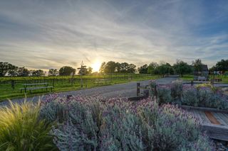 7505 Wise Rd, Auburn, CA 95603