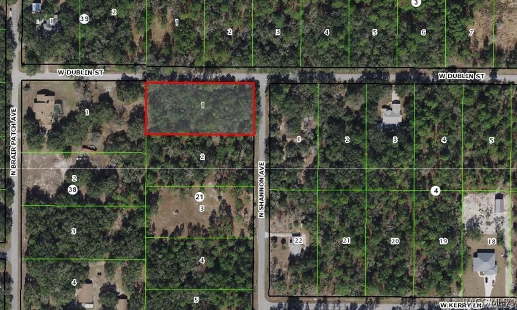 8652 N Shannon Avenue, Crystal River, FL 34428