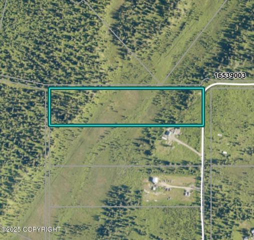 31315 Birch Haven Road, Anchor Point, AK 99556