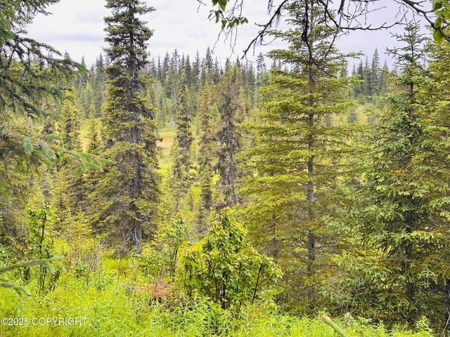 31315 Birch Haven Road, Anchor Point, AK 99556