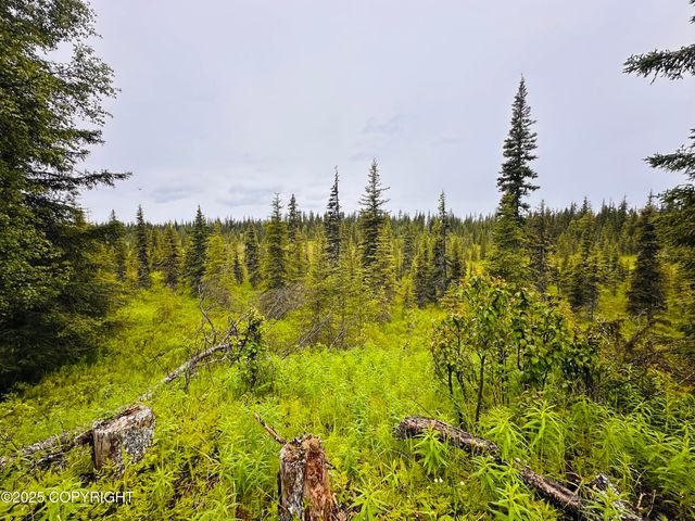 31315 Birch Haven Road, Anchor Point, AK 99556