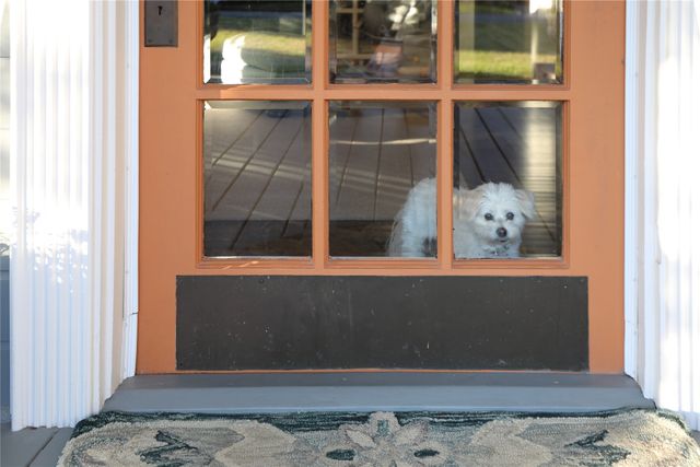 1204 Tucker Street, Mckinney, TX 75069