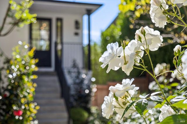 31 Alvarado Ave, Mill Valley, CA 94941