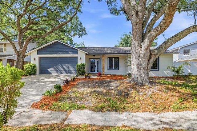 12929 RAIN FOREST STREET, Temple Terrace, FL 33617