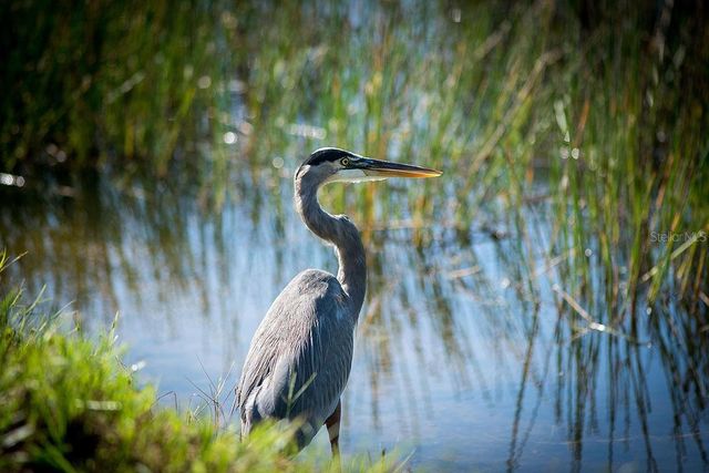 9616 TURNING LEAF TERRACE, Bradenton, FL 34212