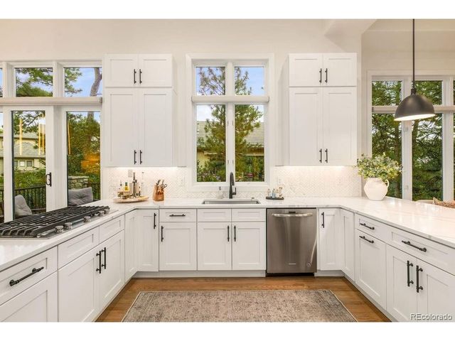 4517 Silver Cliff Ct, Castle Rock, CO 80108