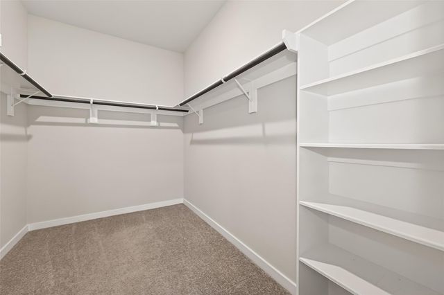 333 Flower Reed Court, Magnolia, TX 77354