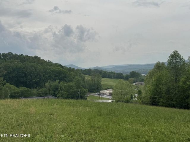 4 Brookstone Heights Lane, Dayton, TN 37321
