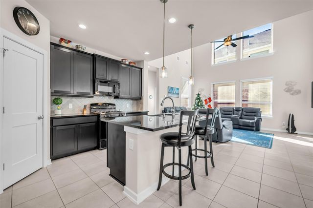 17110 Broadleaf Oak Drive, Hockley, TX 77447