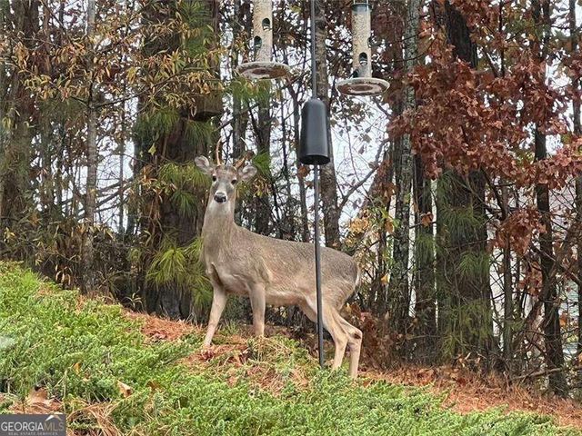 107 Millstone Manor Court, Woodstock, GA 30188