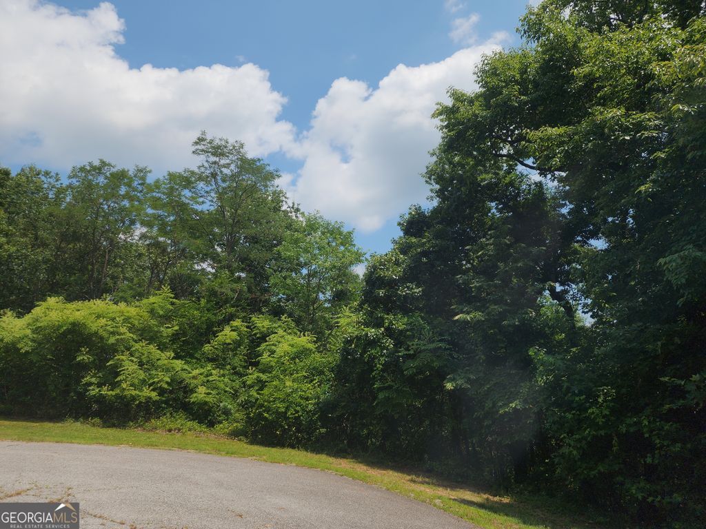 LOT #14 Little Eagle Mtn, Clarkesville, GA 30523 — exterior
