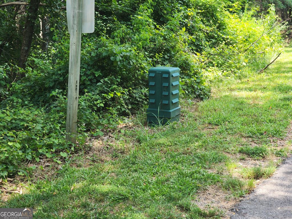 LOT #14 Little Eagle Mtn, Clarkesville, GA 30523 — photo 2