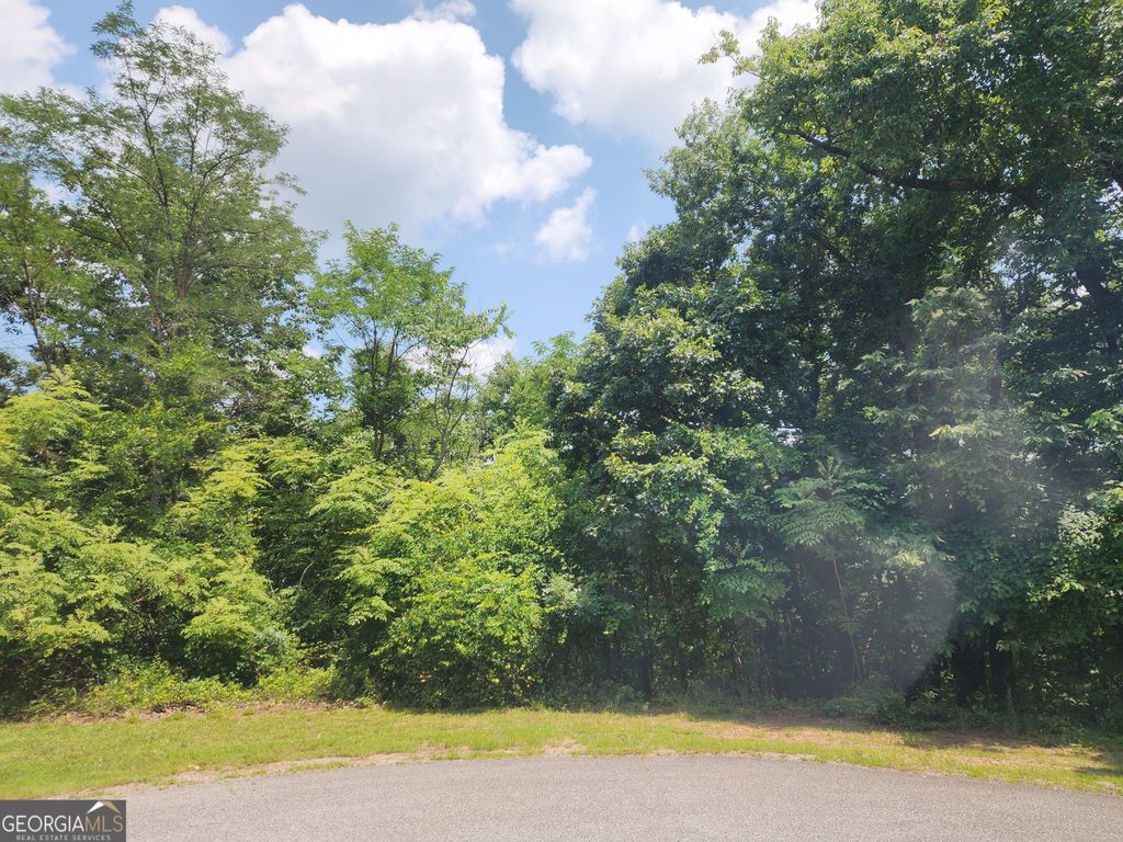 LOT #14 Little Eagle Mtn, Clarkesville, GA 30523 — photo 3