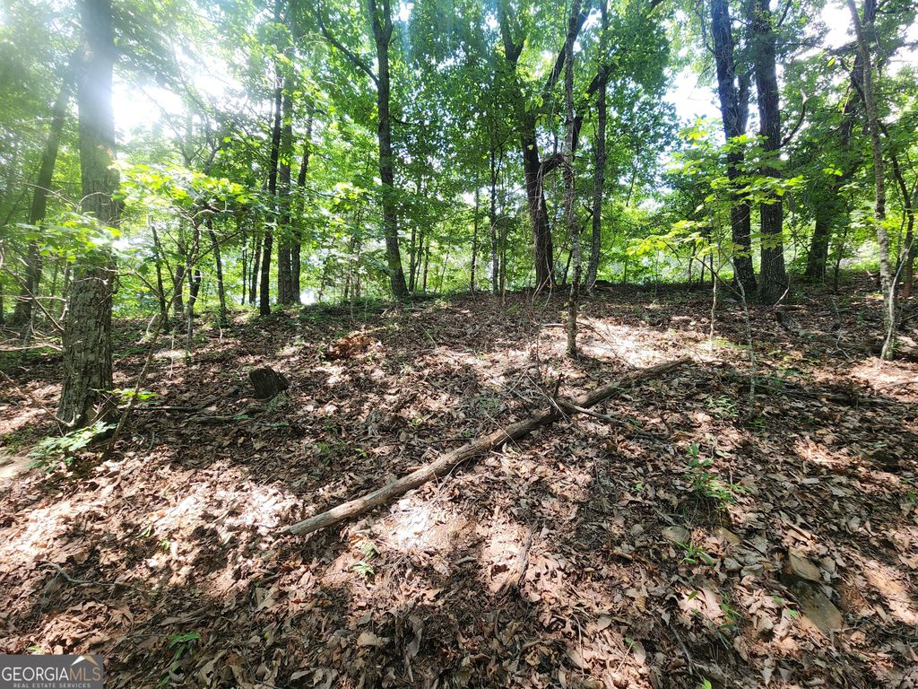 LOT #14 Little Eagle Mtn, Clarkesville, GA 30523 — photo 4