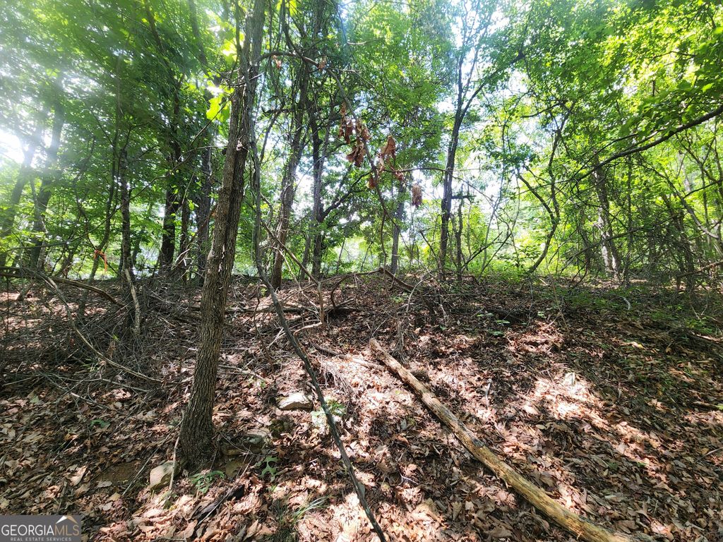 LOT #14 Little Eagle Mtn, Clarkesville, GA 30523 — photo 5