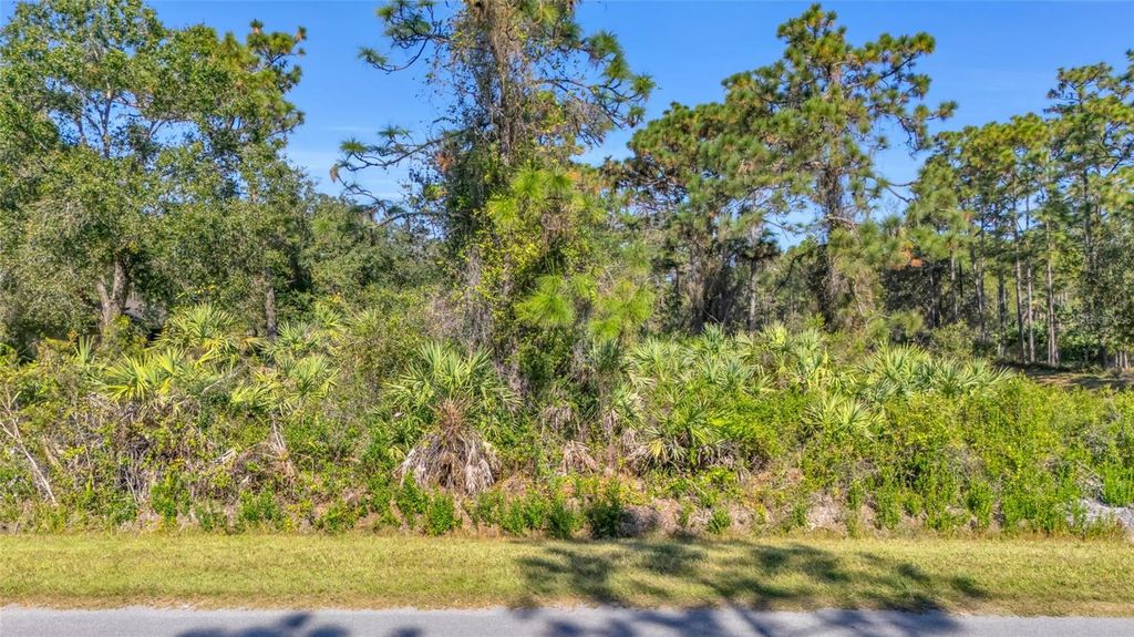 QUINLAN STREET, Orlando, FL 32833