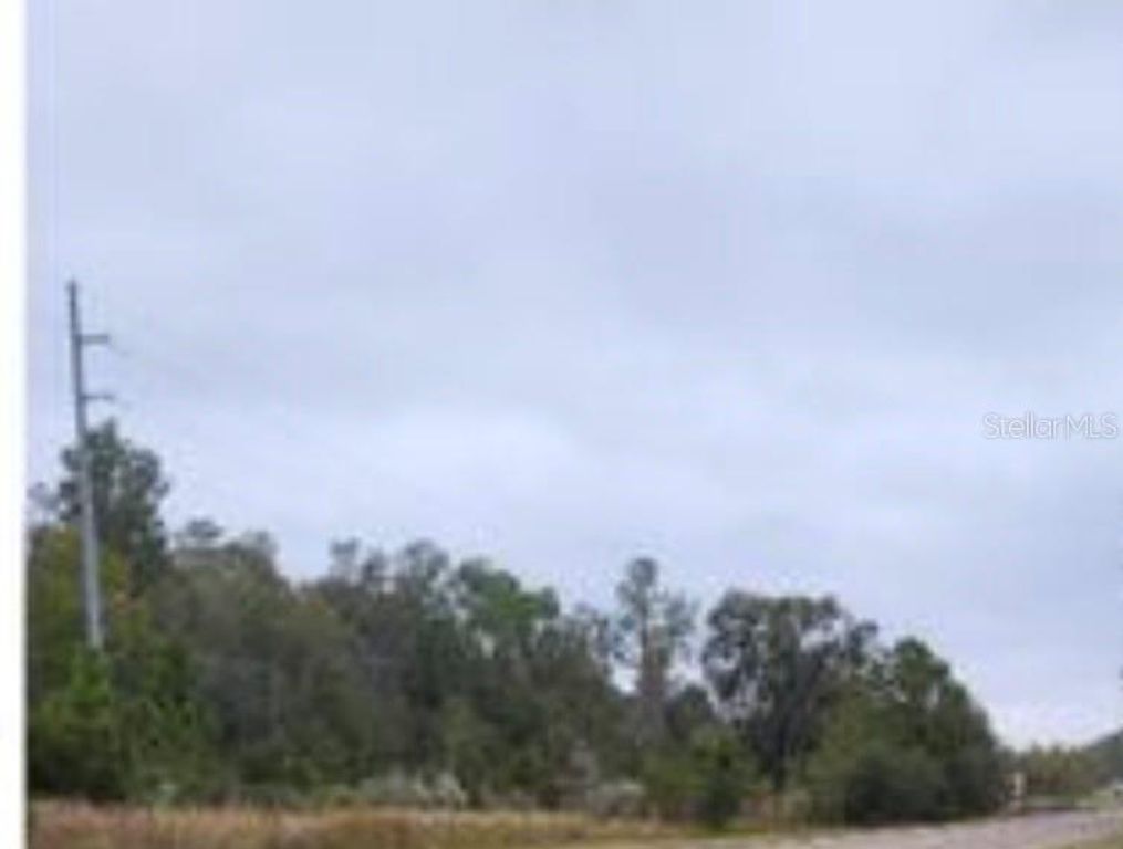 0 E DADE LANE, Spring Hill, FL 34610