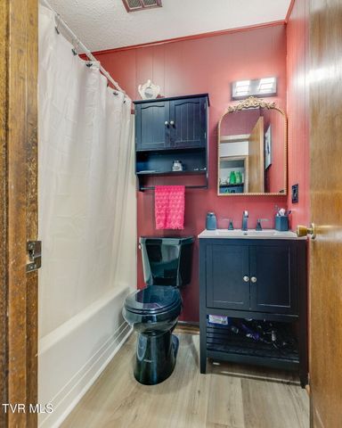 306 Skyland Drive, Bristol, TN 37620