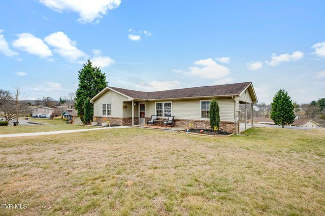 306 Skyland Drive, Bristol, TN 37620