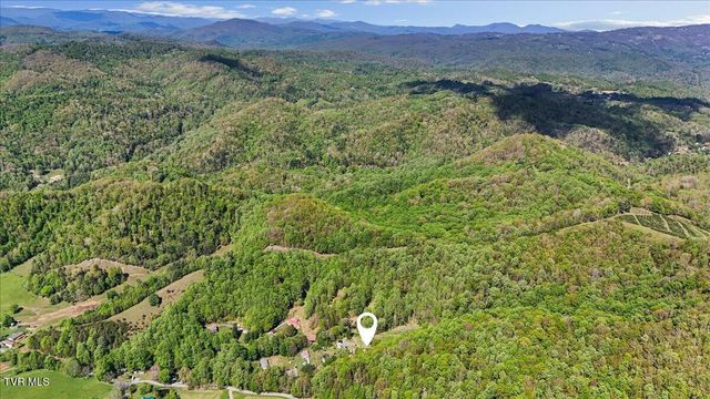 195 Willard Perkins Road, Roan Mountain, TN 37687