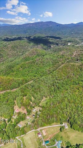 195 Willard Perkins Road, Roan Mountain, TN 37687