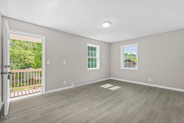 195 Willard Perkins Road, Roan Mountain, TN 37687
