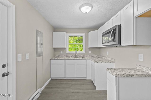 195 Willard Perkins Road, Roan Mountain, TN 37687