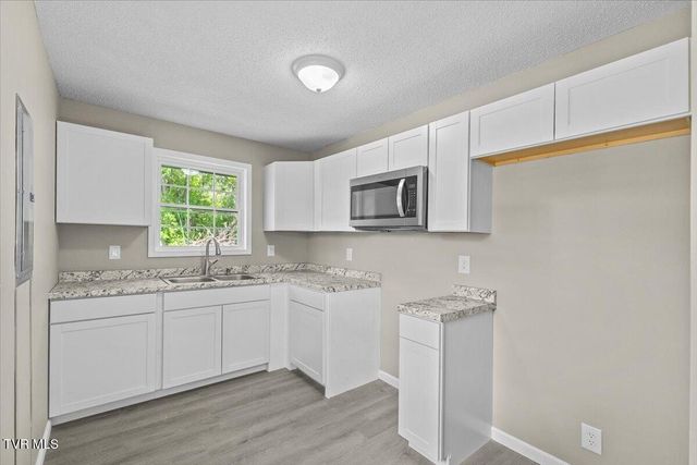 195 Willard Perkins Road, Roan Mountain, TN 37687