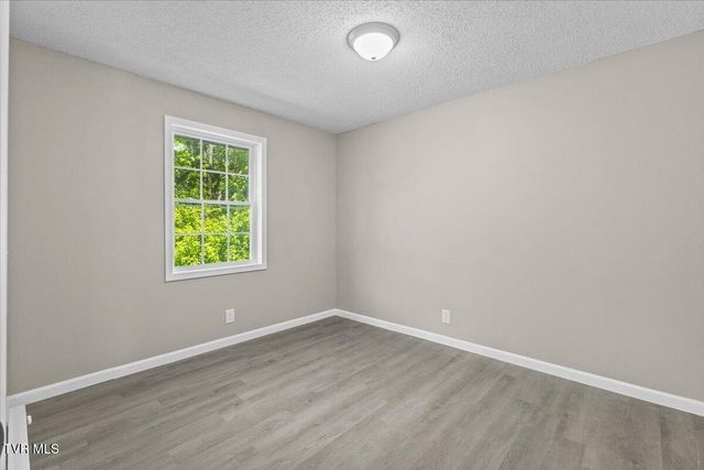 195 Willard Perkins Road, Roan Mountain, TN 37687