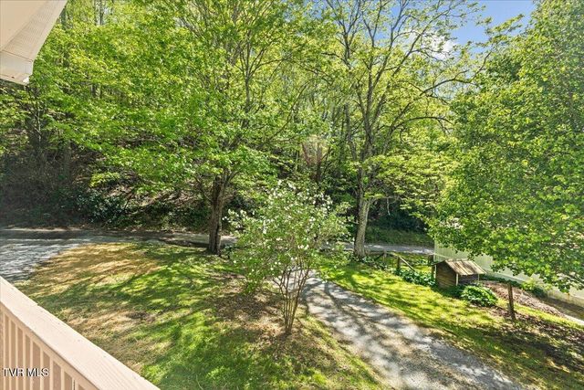 195 Willard Perkins Road, Roan Mountain, TN 37687