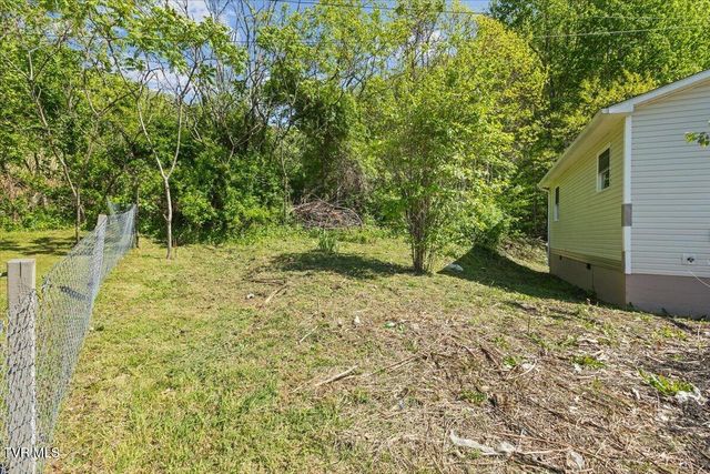 195 Willard Perkins Road, Roan Mountain, TN 37687