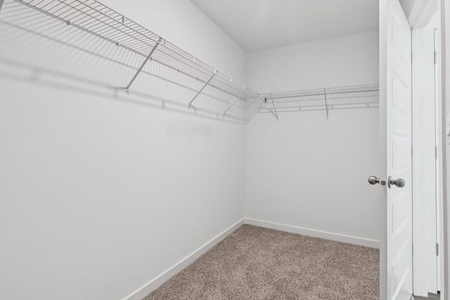 289 Snowdrop Lane, Elgin, IL 60124