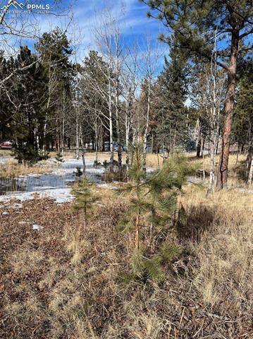 630 PEMBROOK Drive, Woodland Park, CO 80863