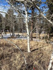 630 PEMBROOK Drive, Woodland Park, CO 80863