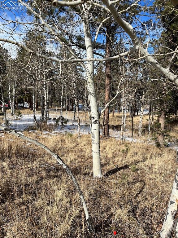630 PEMBROOK Drive, Woodland Park, CO 80863
