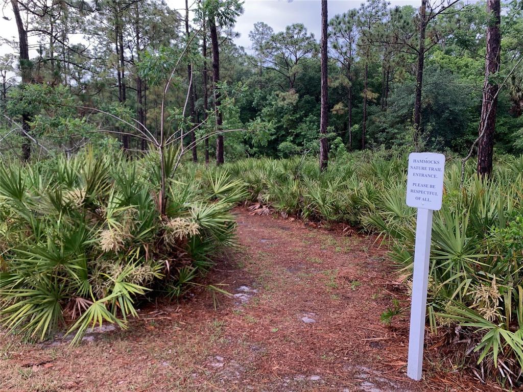 Image 33 of property listing at 8604 FIDDLELEAF COURT, Tampa, FL 33647