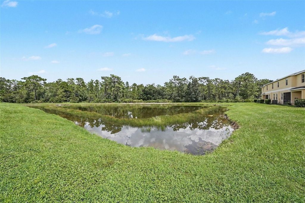 Image 5 of property listing at 8604 FIDDLELEAF COURT, Tampa, FL 33647