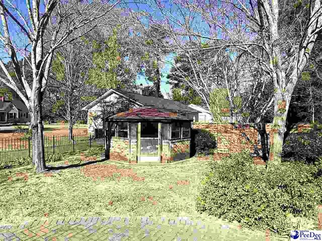 217 Smith Street, Lake City, SC 29560