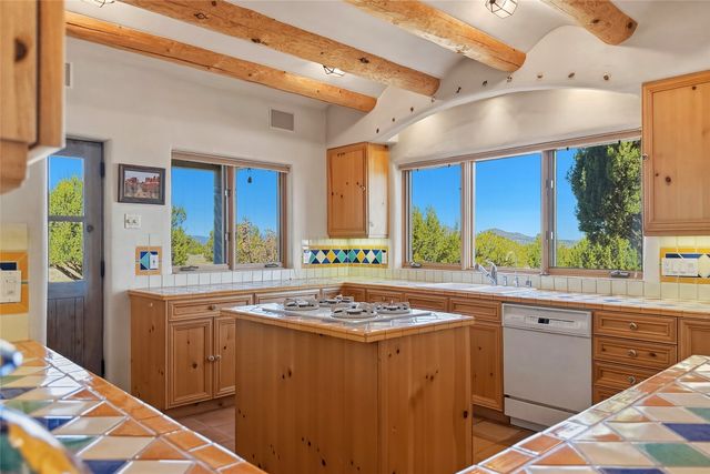 39 Gopeyka Canyon, Cerrillos, NM 87010