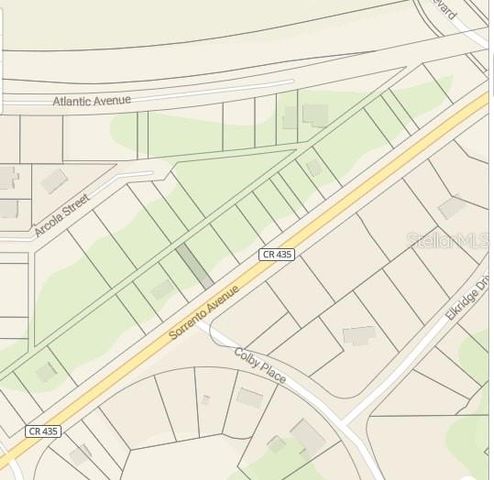 TBD SORRENTO AVENUE, Sorrento, FL 32776