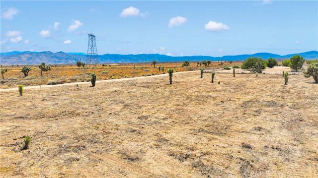 0 Bandicoot Trail, Oak Hills, CA 92344