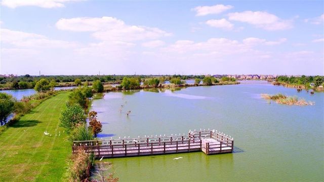 4602 Ana Ridge Lane, Fulshear, TX 77441