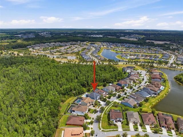 4335 ORTONA LANE, Wesley Chapel, FL 33543