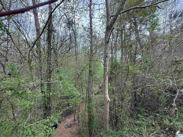 8362 OLD HIGHWAY 280, Chelsea, AL 35043