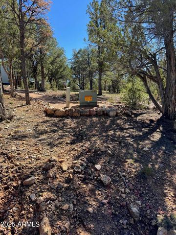 2333 ELK RIDGE Lane 004H, Overgaard, AZ 85933