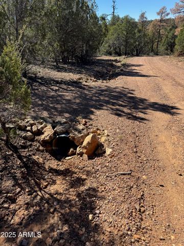 2333 ELK RIDGE Lane 004H, Overgaard, AZ 85933