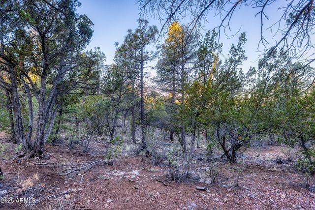 2333 ELK RIDGE Lane 004H, Overgaard, AZ 85933